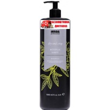 Шампунь Invidia Botoplus Karite Shampoo для пористых и вьющихся волос с маслом ши 1000ml