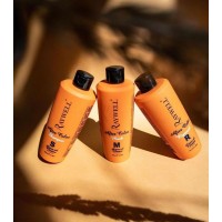 Набір для волосся Raywell After Color (шампунь 250 мл + маска 250 мл + олія 250 мл)