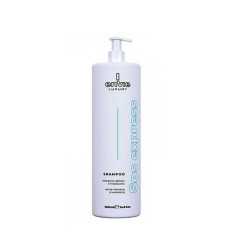 Aмiнoкислoтний шампунь Envie Luxury Sos Express Shampoo для миттєвого відновлення волосся (EN461) 300 г (розлив)