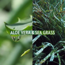 GLYNT HYDRO Conditioner Кондиціонер зволожуючий 1000 мл