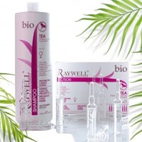 Raywell Bio Tea шампунь 1000 мл та Lotion ампули 10 шт Набір для росту та від випадіння волосся