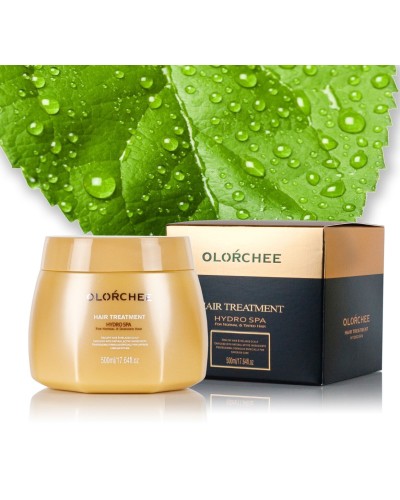 Маска для інтенсивного зволоження волосся Olorchee Hair Treatment Hydro Spa