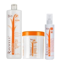 Raywell Bio Hidra набір шампунь, маска та термозахист Raywell ONE 10 в 1 для зволоження волосся 2х200/100 г розлив