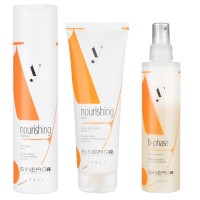 Набір Sinergy для реконструкції сухого пошкодженого волосся серії Y1, 250/250/200 мл