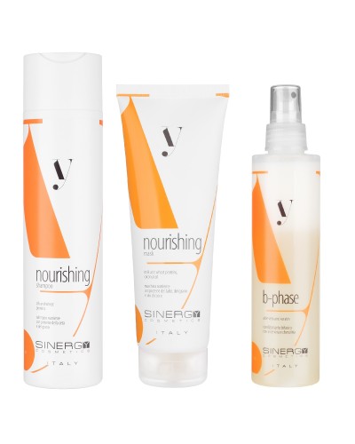 Набір Sinergy для реконструкції сухого пошкодженого волосся серії Y1, 250/250/200 мл