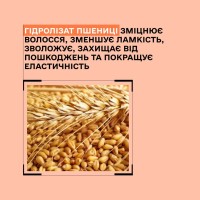 Шампунь Sinergy Y4.1 для реконструкції пошкодженого волосся з кератином, 250 мл