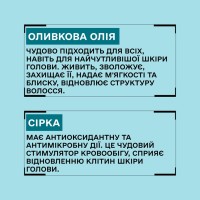 Шампунь для жирной кожи головы Sinergy Regulation Shampoo, 1000 мл