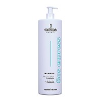 Аминокислотный шампунь Envie Luxury Sos Express Shampoo для мгновенного восстановления волос (EN461) 200 г (разлив)