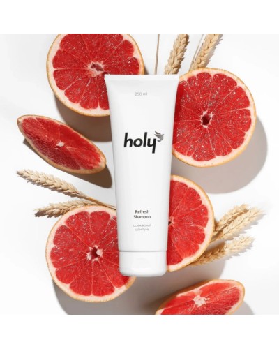 Освежающий шампунь holy refresh shampoo для сухих волос, 250 мл