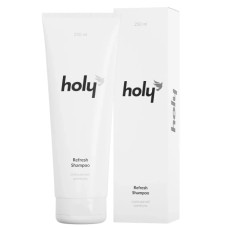 Освежающий шампунь holy refresh shampoo для сухих волос, 250 мл