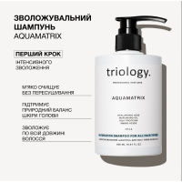 Зволожувальний шампунь Aquamatrix Triology для всіх типів волосся, 500 мл
